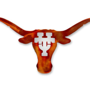 university of texas longhorn sign